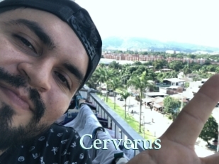 Cerverus