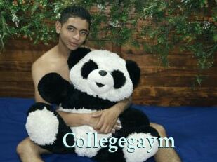 Collegegaym