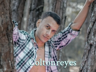 Coltonreyes