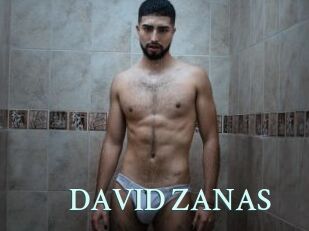 DAVID_ZANAS