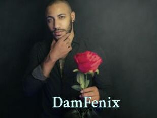 DamFenix