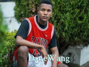 DaneWang