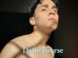 Daniel_horse