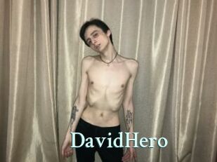 DavidHero