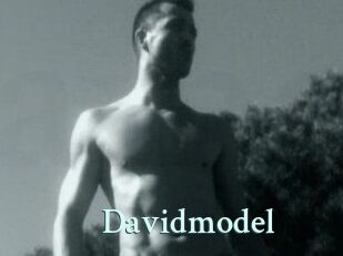 Davidmodel