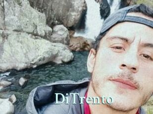 DiTrento Ambiance Gay