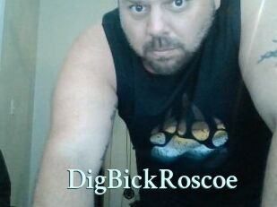DigBickRoscoe