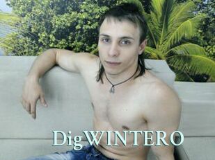DigWINTERO