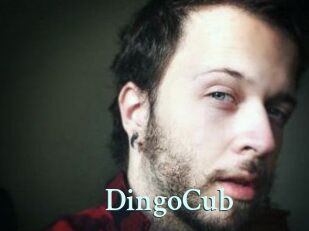 DingoCub