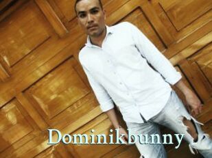 Dominikbunny