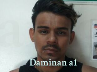Daminan_a1