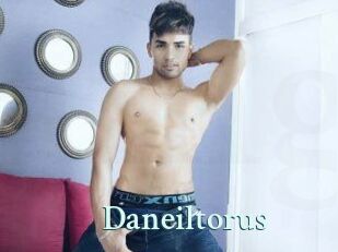 Daneil_torus
