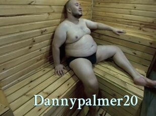 Dannypalmer20