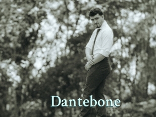 dantebone Ambiance Gay
