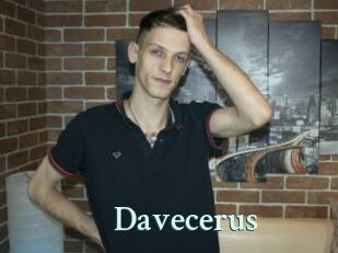 Davecerus