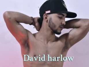 David_harlow