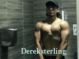 dereksterling Ambiance Gay