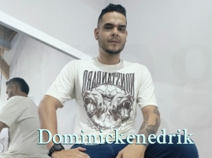 Dominickenedrik