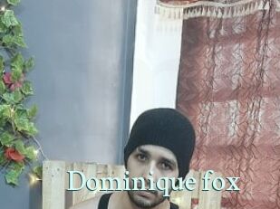 Dominique_fox