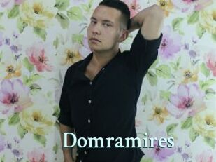 Domramires