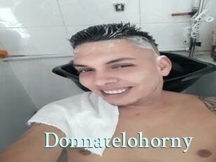 Donnatelohorny