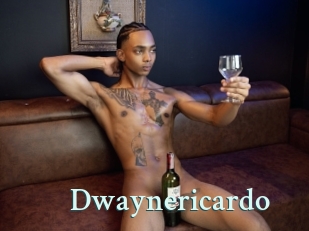 dwaynericardo Ambiance Gay