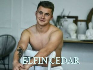 ELFIN_CEDAR