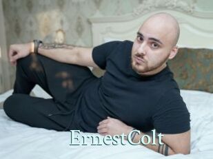 ErnestColt Ambiance Gay