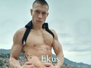 ekus Ambiance Gay