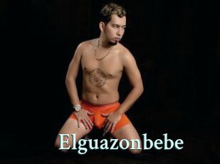 Elguazonbebe