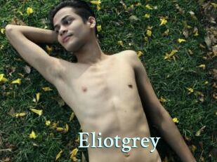 Eliotgrey