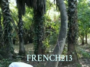 FRENCH213