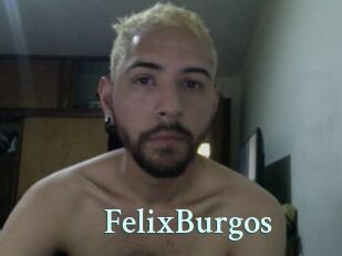 FelixBurgos
