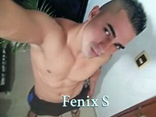 Fenix_S