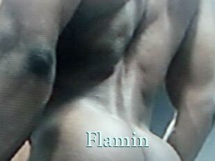Flamin