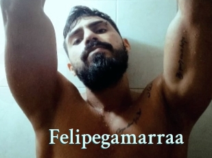 Felipegamarraa