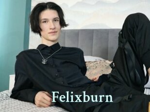 Felixburn