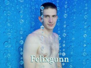 Felixgunn