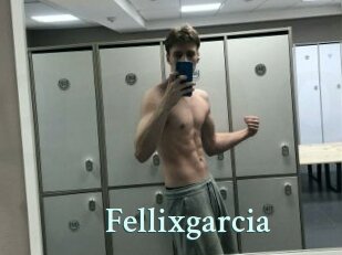Fellixgarcia