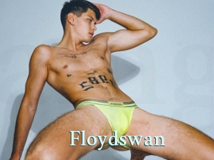 Floydswan