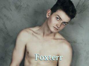 Foxterr