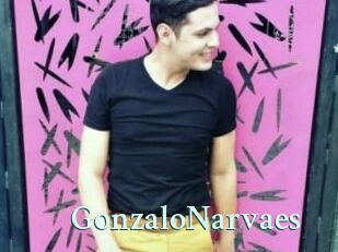 GonzaloNarvaes