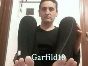 Garfild18