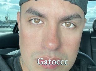 Gatoccc
