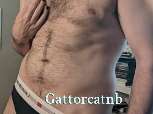 gattorcatnb Ambiance Gay