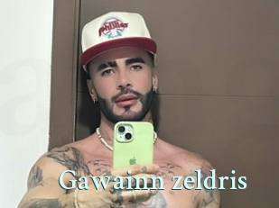 Gawainn_zeldris