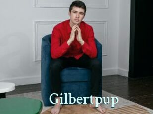 Gilbertpup