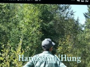 HandsumNHung