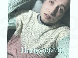 Harley307703