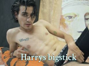 Harrys_bigstick